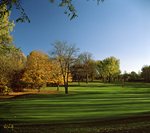 Four green
