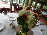 DSCN2356